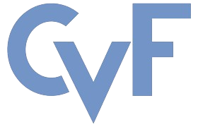 Computer vision foundation